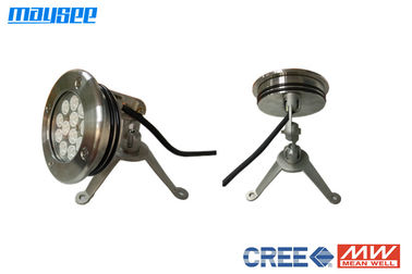 IP68 36w Led Underwater Light Submersible Rgb Multicolor Changing For Swimming Pool