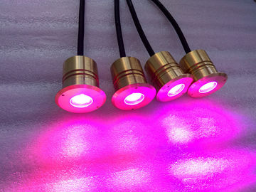 সামুদ্রিক ক্রি LED ডেক সিঁড়িতে প্রভা 1W 40mm ব্যাস ব্রাস হাউজিং সঙ্গে