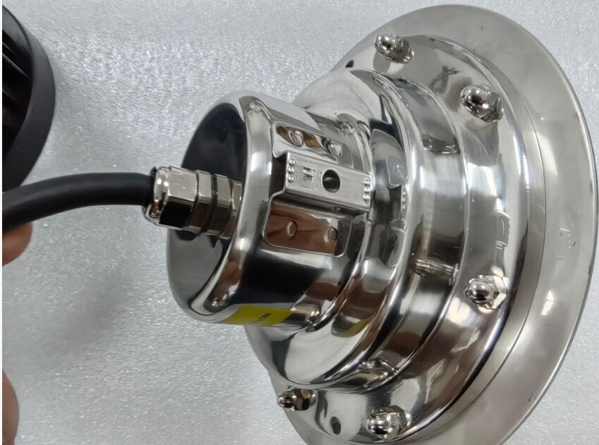 100lm/w আন্ডারওয়াটার এলইডি লাইট DC24V দীর্ঘস্থায়ী জলরোধী আলো পুল, ফোয়ারা এবং আলংকারিক জল উপাদানের জন্য